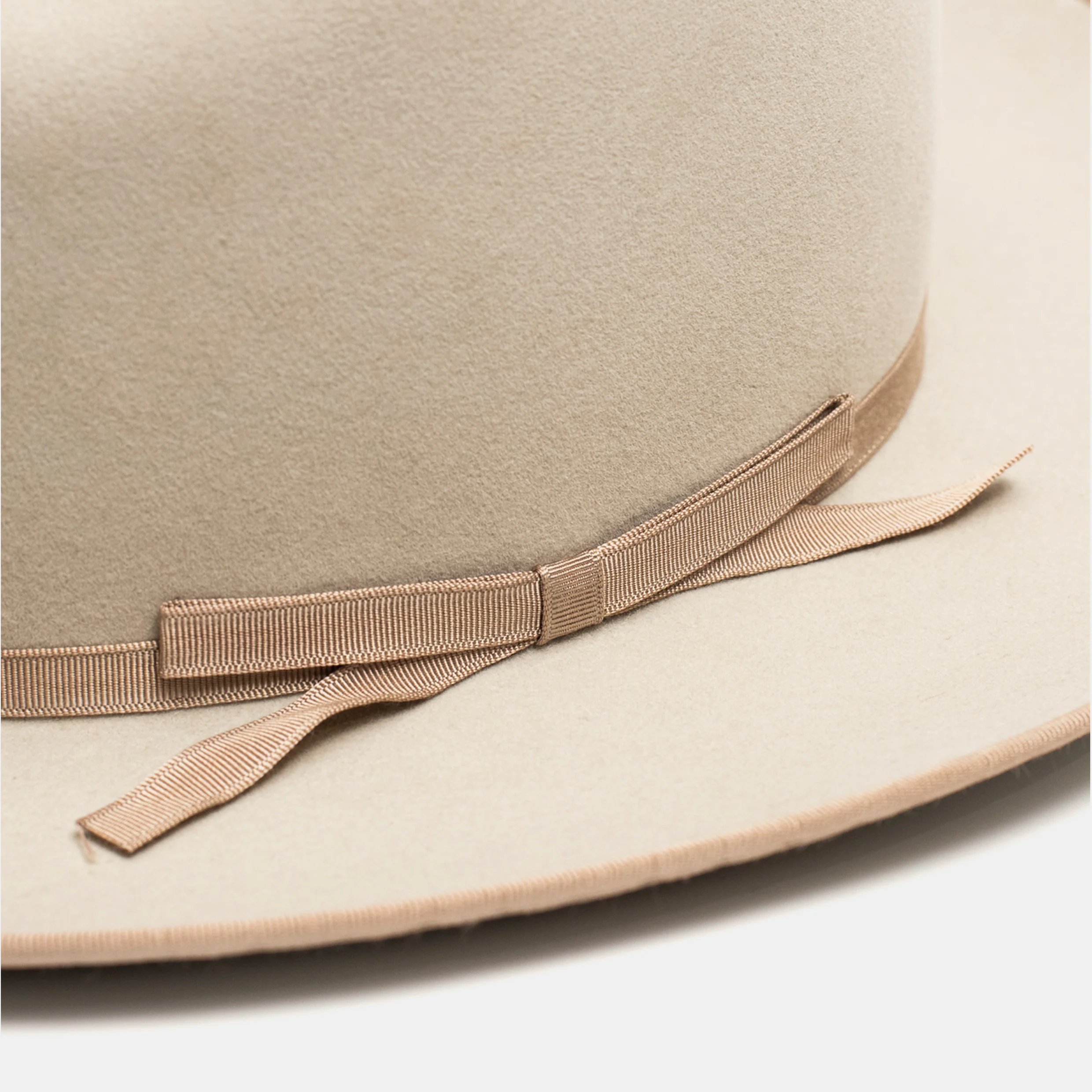 Wellema x Bryceland's Hat Silverbelly - Image 2